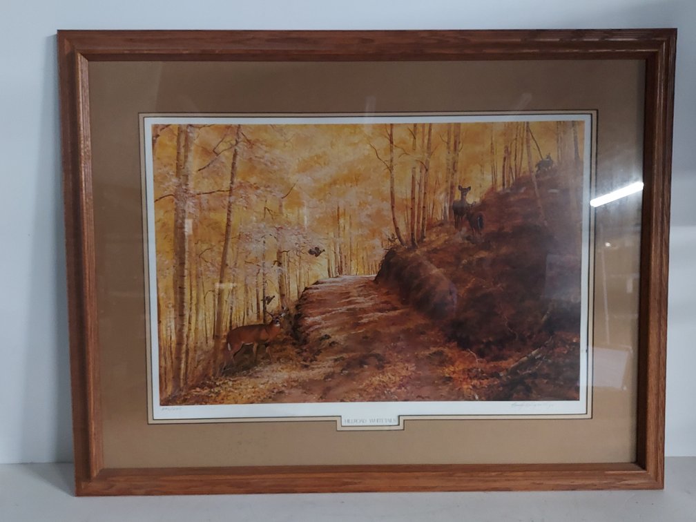 "Hillroad Whitetails" Signed & Numbered Framed Print