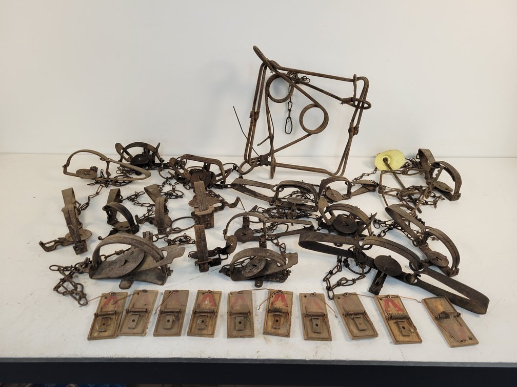 (19) Small Animal Traps and (10) Mouse Traps