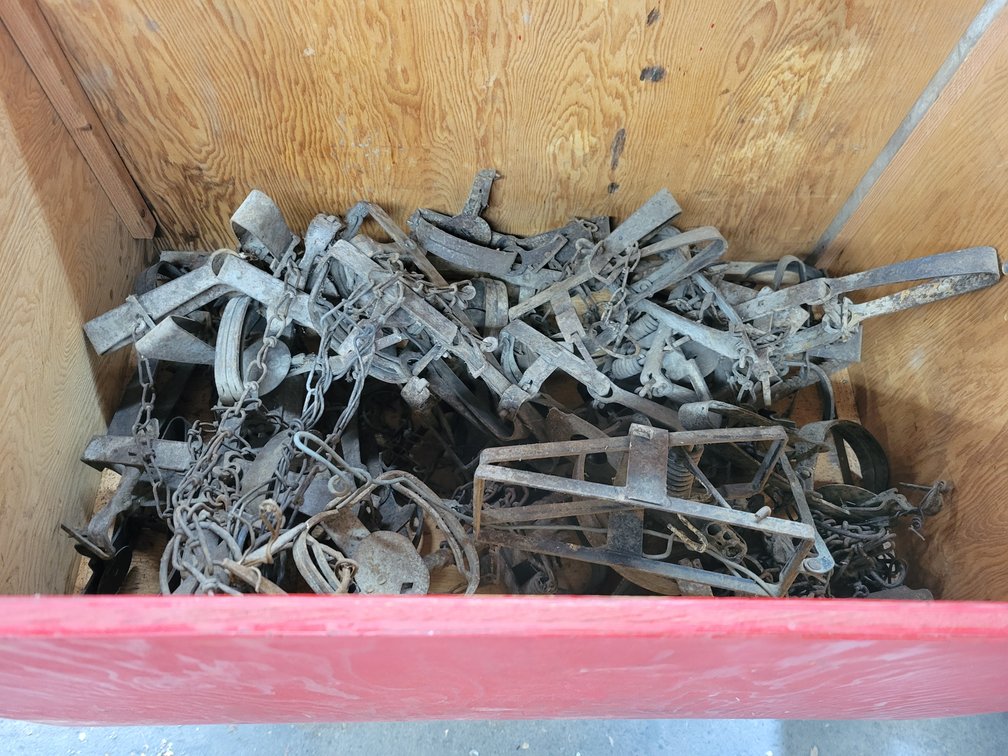 (40) Animal Traps in Wood Storage Crate with Cover