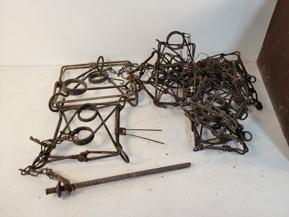 (17) Animal Traps in Wood Storage Crate with Cover