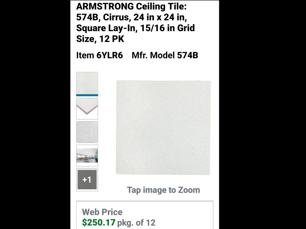 (12)Ceiling tile