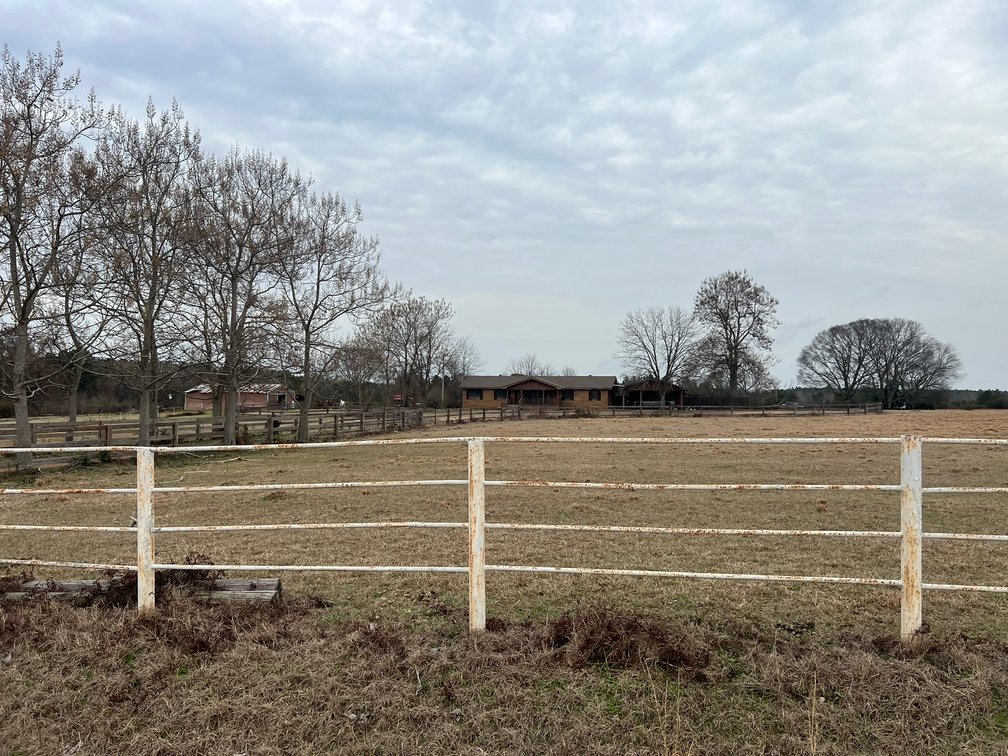Lot 1