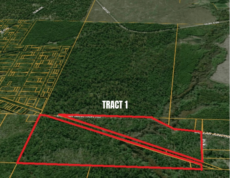 Lot 1 - 82± Acres