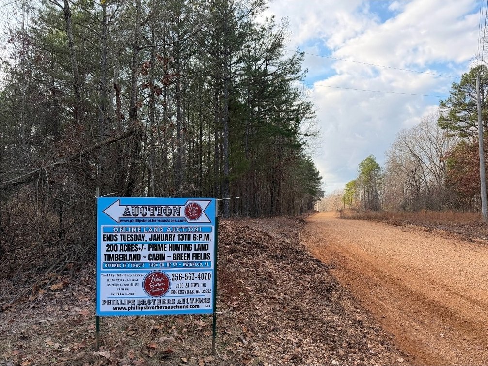Image for ONLINE AUCTION!  200 Acres+/- Prime Hunting Land ~ Timberland ~ Cabin ~ Green Fields