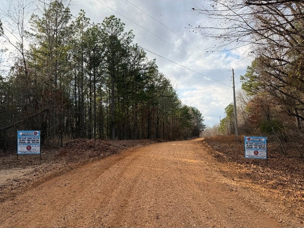 Image for ONLINE AUCTION!  200 Acres+/- Prime Hunting Land ~ Timberland ~ Cabin ~ Green Fields