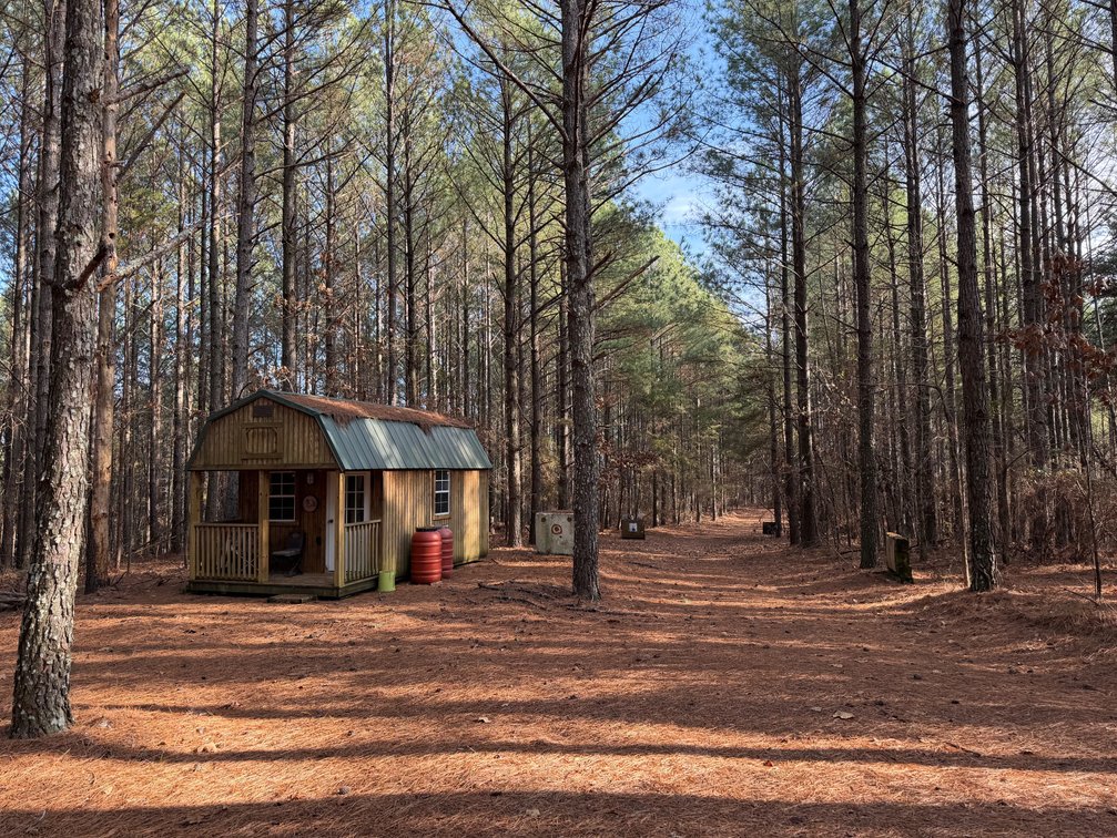 Image for ONLINE AUCTION!  200 Acres+/- Prime Hunting Land ~ Timberland ~ Cabin ~ Green Fields