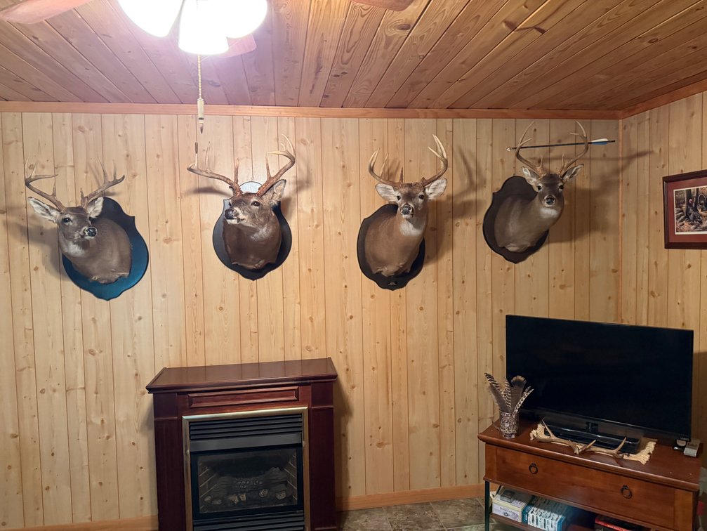 Image for ONLINE AUCTION!  200 Acres+/- Prime Hunting Land ~ Timberland ~ Cabin ~ Green Fields