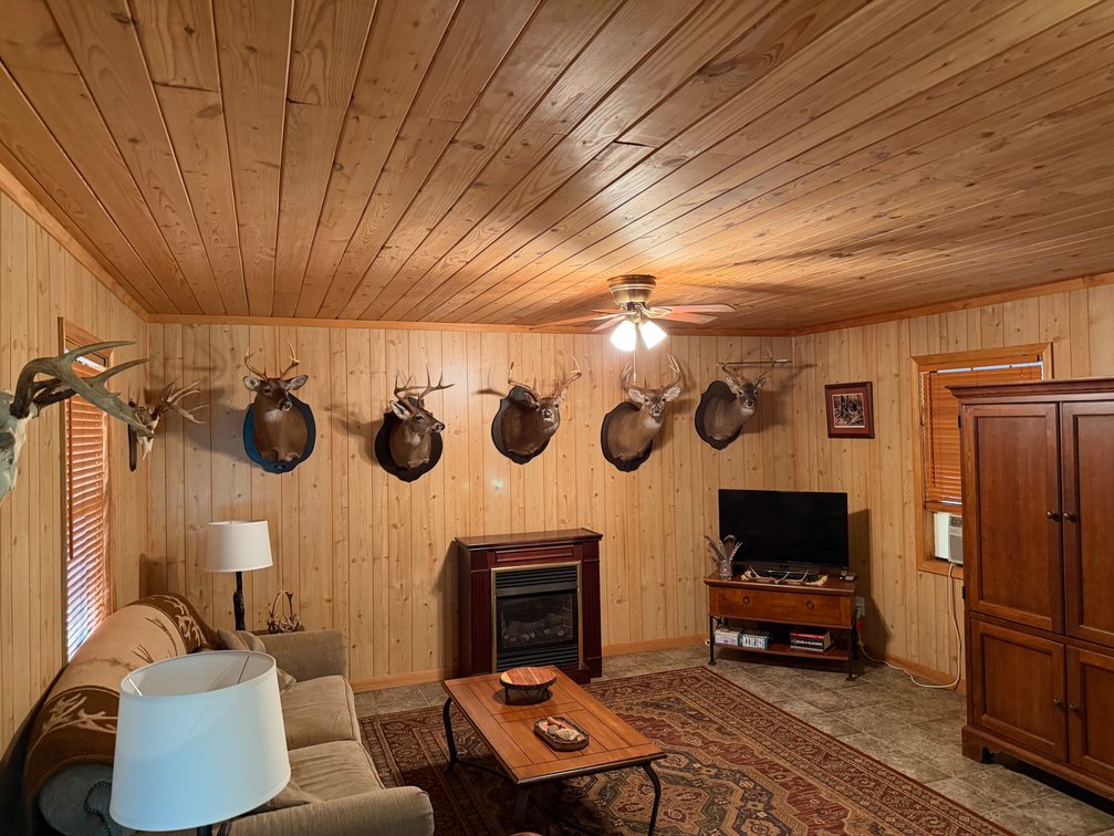 Image for ONLINE AUCTION!  200 Acres+/- Prime Hunting Land ~ Timberland ~ Cabin ~ Green Fields