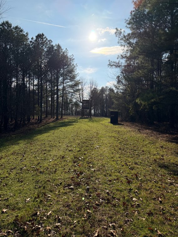 Image for ONLINE AUCTION!  200 Acres+/- Prime Hunting Land ~ Timberland ~ Cabin ~ Green Fields