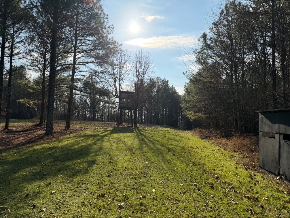 Image for ONLINE AUCTION!  200 Acres+/- Prime Hunting Land ~ Timberland ~ Cabin ~ Green Fields