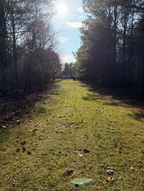 Image for ONLINE AUCTION!  200 Acres+/- Prime Hunting Land ~ Timberland ~ Cabin ~ Green Fields