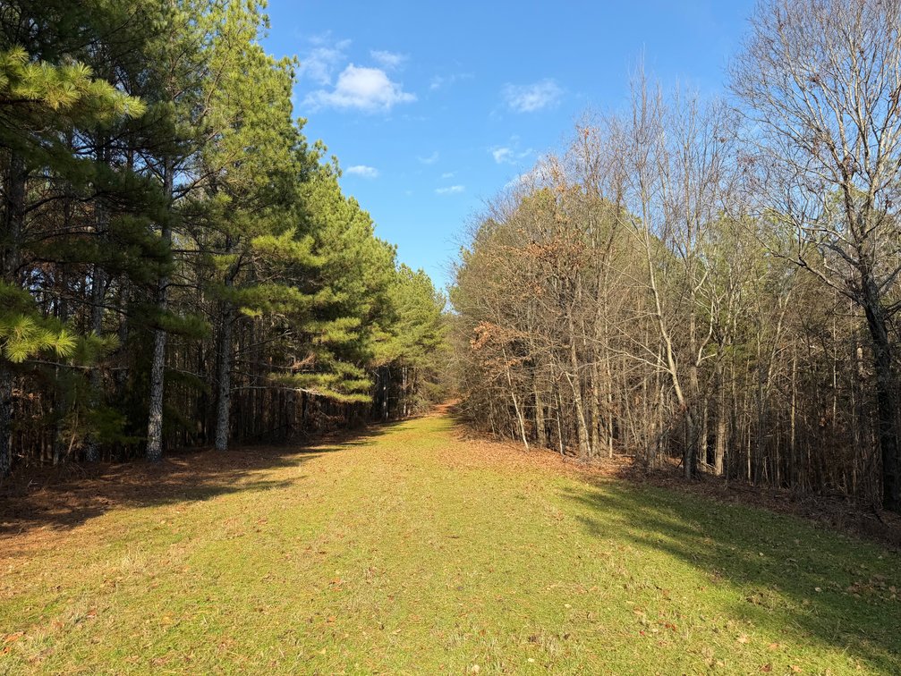 Image for ONLINE AUCTION!  200 Acres+/- Prime Hunting Land ~ Timberland ~ Cabin ~ Green Fields