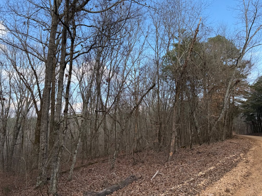 Image for ONLINE AUCTION!  200 Acres+/- Prime Hunting Land ~ Timberland ~ Cabin ~ Green Fields