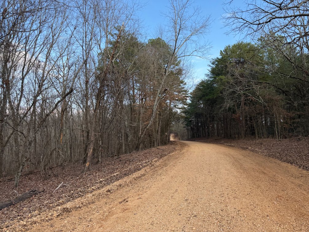 Image for ONLINE AUCTION!  200 Acres+/- Prime Hunting Land ~ Timberland ~ Cabin ~ Green Fields