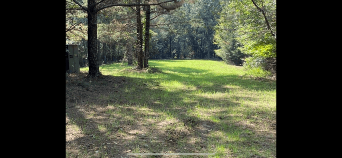 Image for ONLINE AUCTION!  200 Acres+/- Prime Hunting Land ~ Timberland ~ Cabin ~ Green Fields