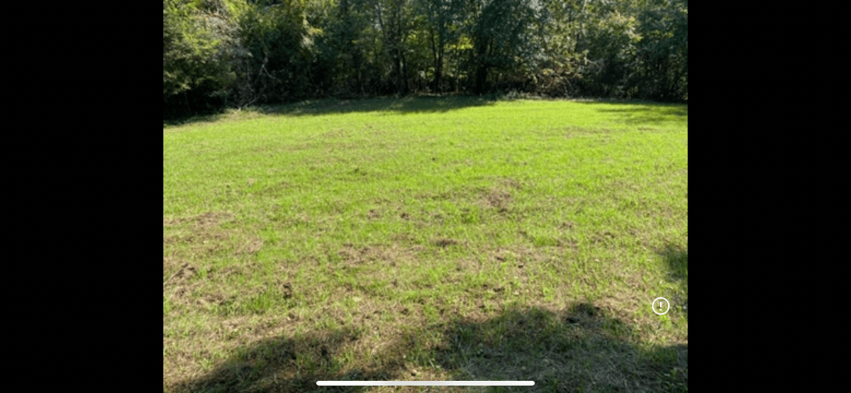 Image for ONLINE AUCTION!  200 Acres+/- Prime Hunting Land ~ Timberland ~ Cabin ~ Green Fields
