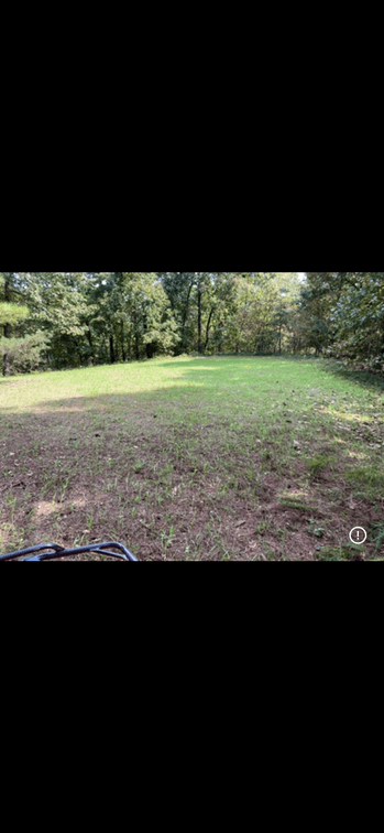 Image for ONLINE AUCTION!  200 Acres+/- Prime Hunting Land ~ Timberland ~ Cabin ~ Green Fields