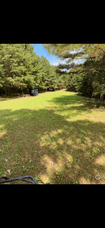 Image for ONLINE AUCTION!  200 Acres+/- Prime Hunting Land ~ Timberland ~ Cabin ~ Green Fields