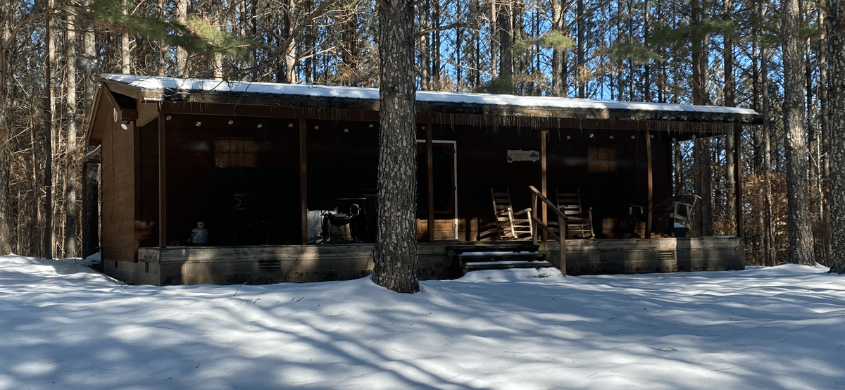 Image for ONLINE AUCTION!  200 Acres+/- Prime Hunting Land ~ Timberland ~ Cabin ~ Green Fields