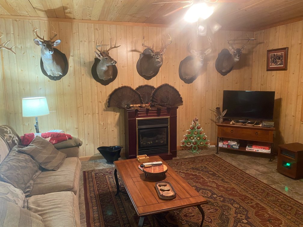 Image for ONLINE AUCTION!  200 Acres+/- Prime Hunting Land ~ Timberland ~ Cabin ~ Green Fields