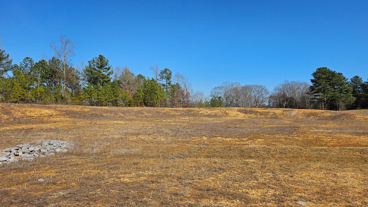 Image for ONLINE AUCTION!  9.26 Acres +/- Corner of Hwy 72 & Mountain Brook Dr. • Killen, AL
