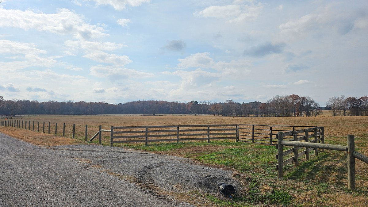 Image for SOLD!!!  ONLINE LAND AUCTION!  74.96 Acres+/- fenced with creek near 