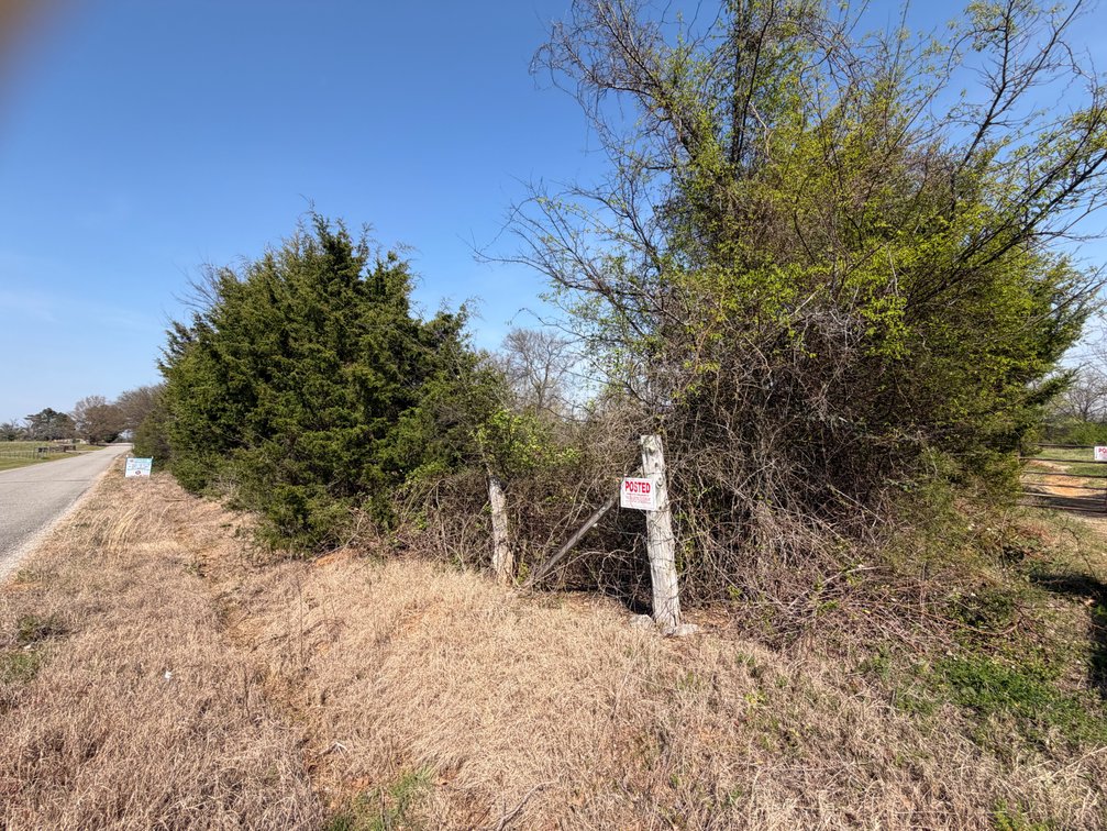 Image for Absolute Online Land Auction!  60 Acres+/- Mt. Hope, Alabama