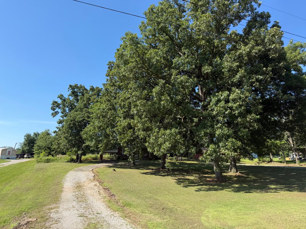 Image for Online Absolute Real Estate Auction! 