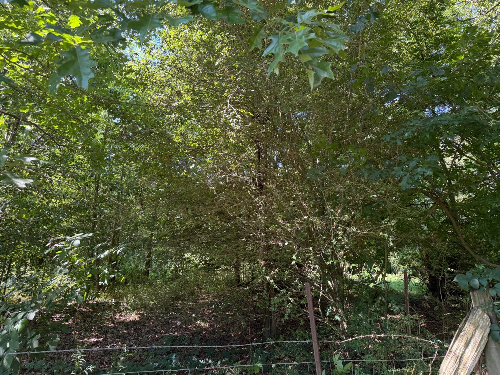Image for Online Absolute Real Estate Auction! 