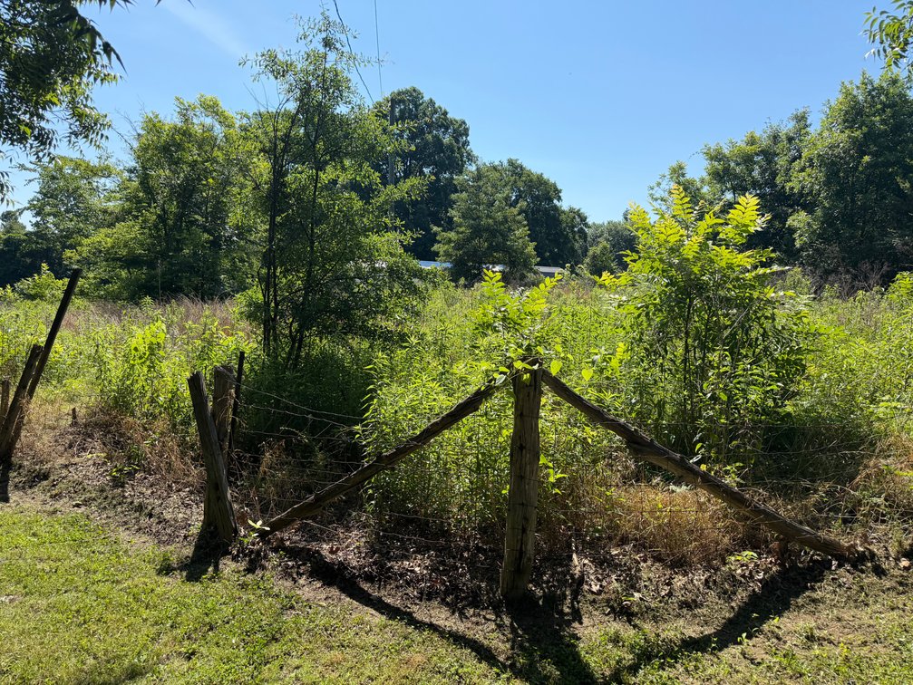 Image for Online Absolute Real Estate Auction! 