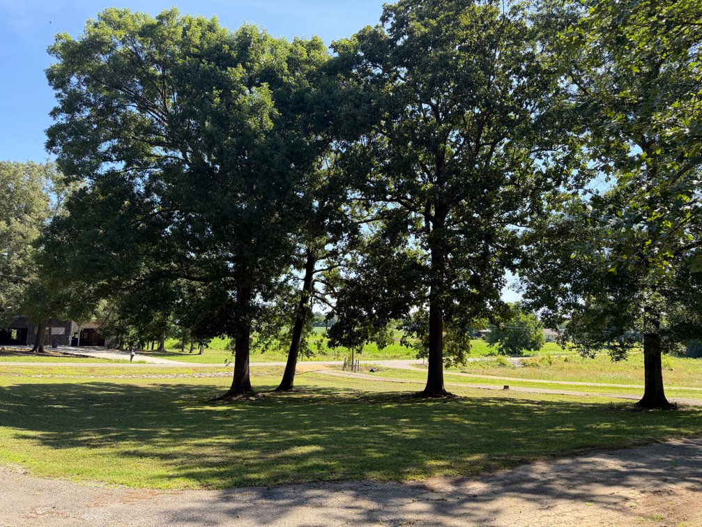 Image for Online Absolute Real Estate Auction! 