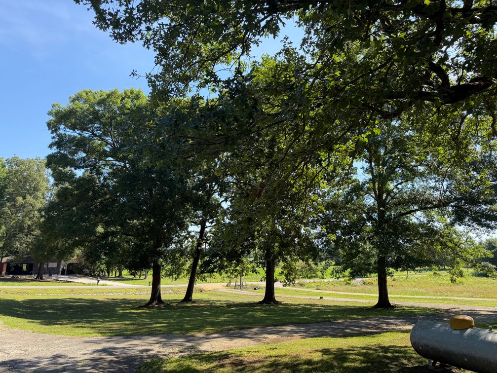 Image for Online Absolute Real Estate Auction! 