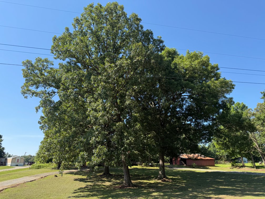 Image for Online Absolute Real Estate Auction! 