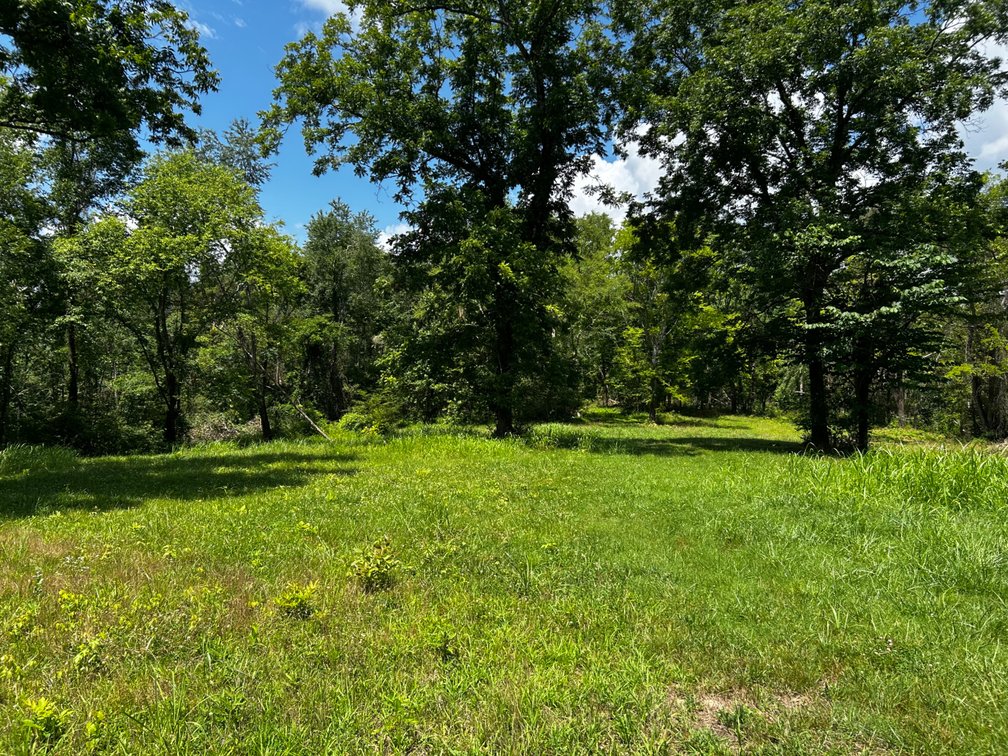 Image for Online Land Auction!  33.71 Acres+/- Offered In 2 Tracts!