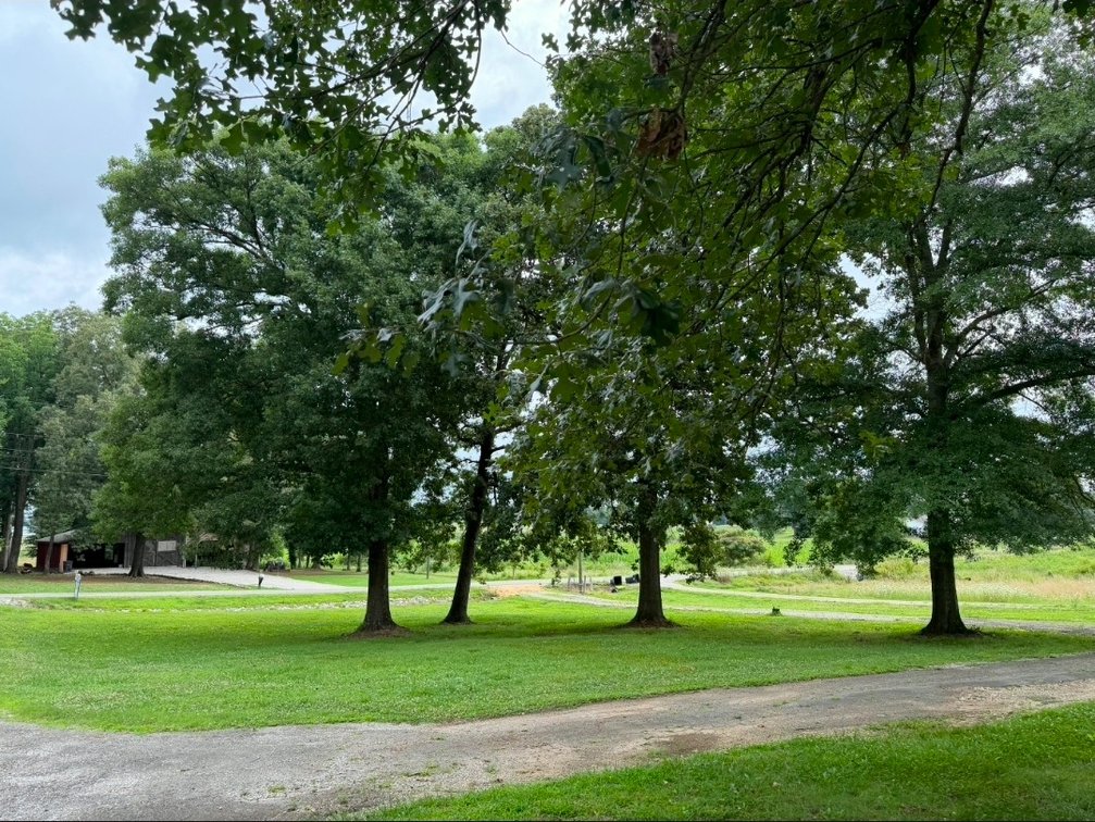 Image for Online Absolute Real Estate Auction! 
