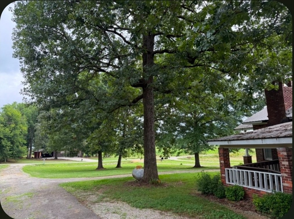 Image for Online Absolute Real Estate Auction! 