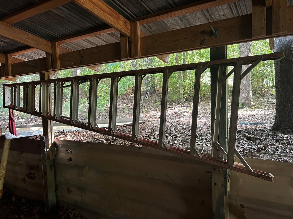 12ft ladder
