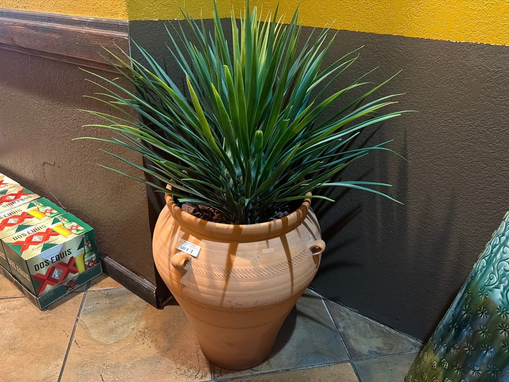 Faux yucca plant in ceramic pot