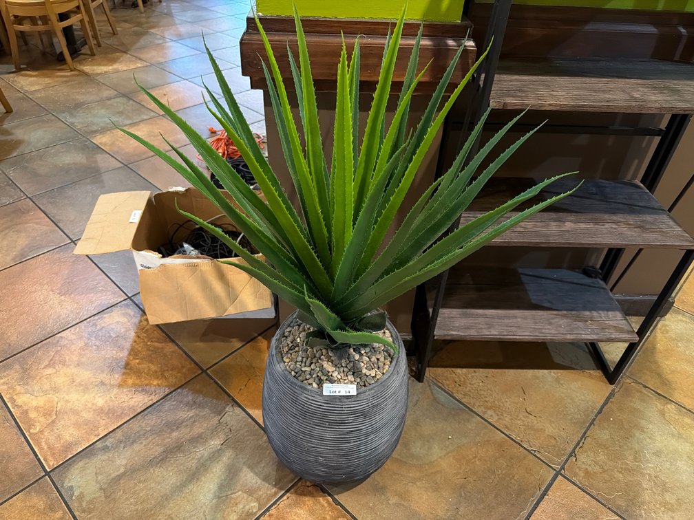 Faux aloe plant in ceramic planter