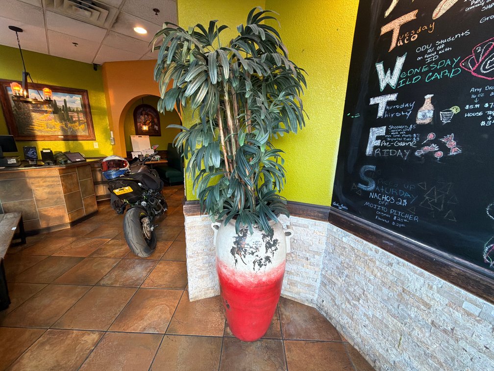 Faux raphis palm tree in XL ceramic planter