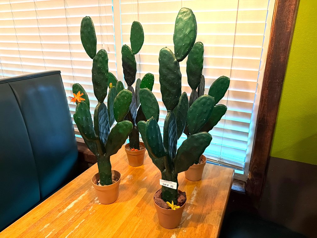 Faux cactus decor