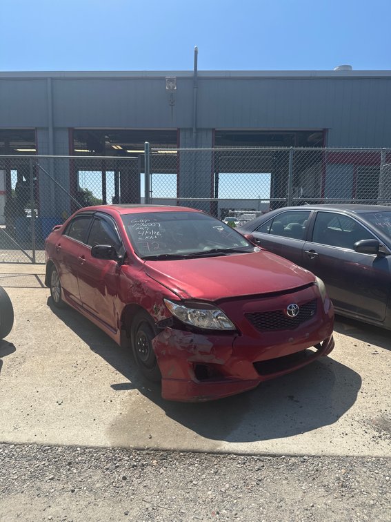 2010 TOYOTA COROLLA