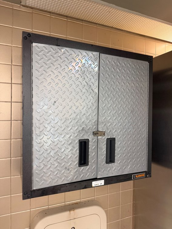 Gladiator wall mount storage cabinets