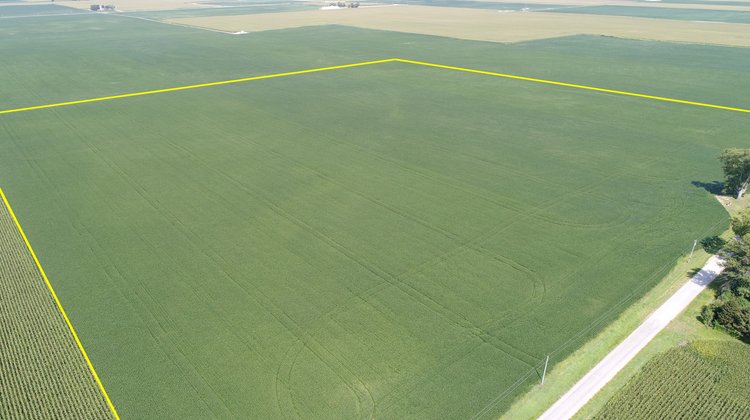 Image for Land Auction