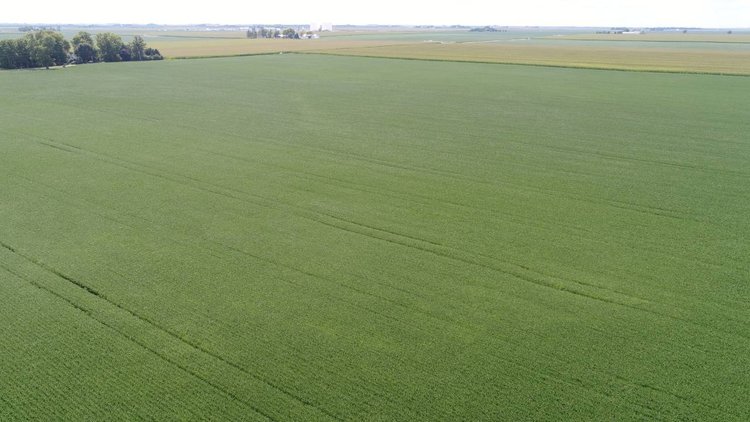 Image for Land Auction