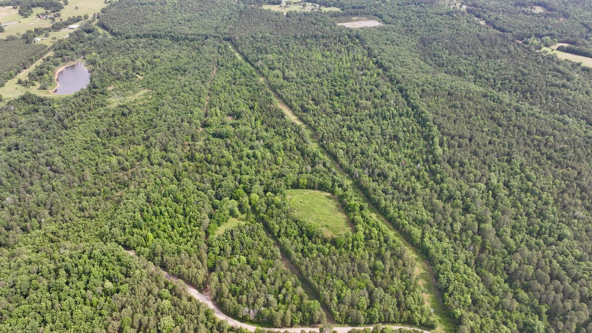 Image for Land Auction - 80+/- Acres Near Center Ridge, AR