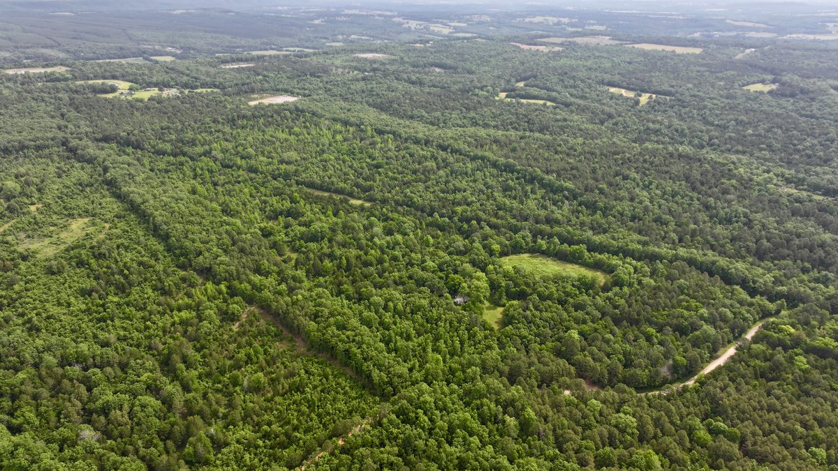 Image for Land Auction - 80+/- Acres Near Center Ridge, AR