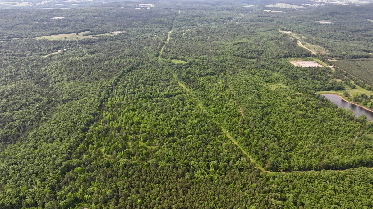 Image for Land Auction - 80+/- Acres Near Center Ridge, AR