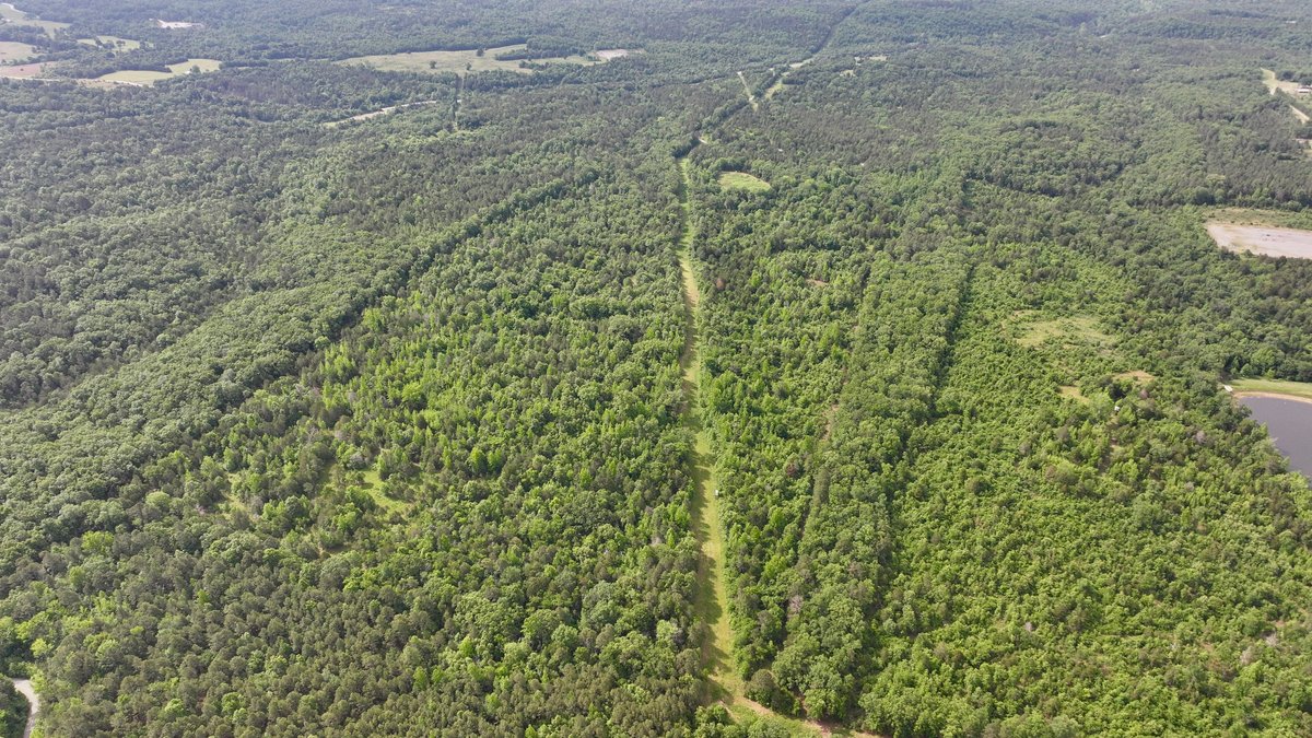 Image for Land Auction - 80+/- Acres Near Center Ridge, AR