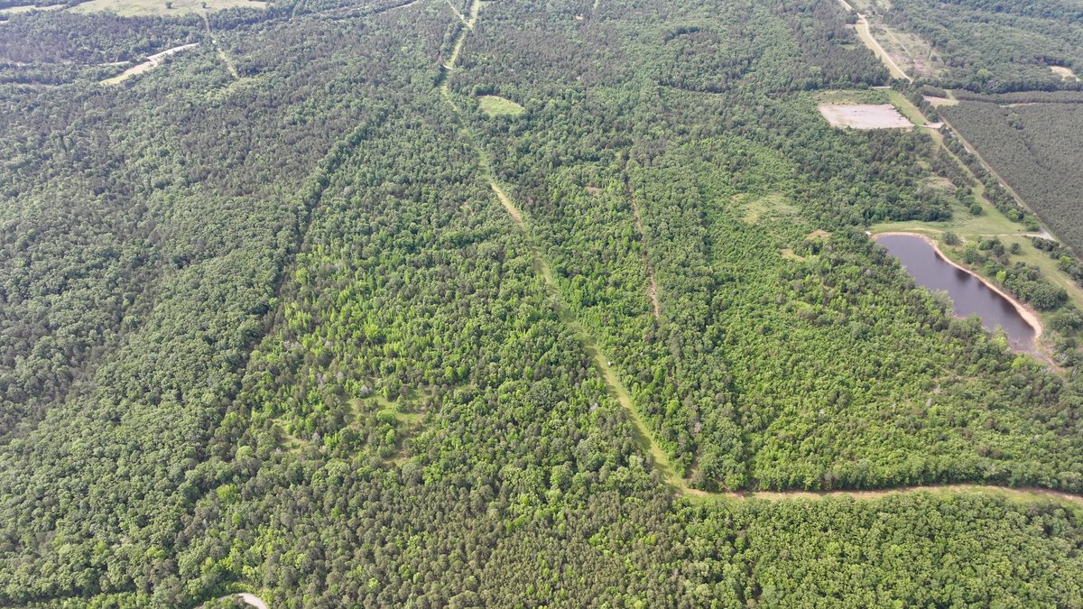 Image for Land Auction - 80+/- Acres Near Center Ridge, AR